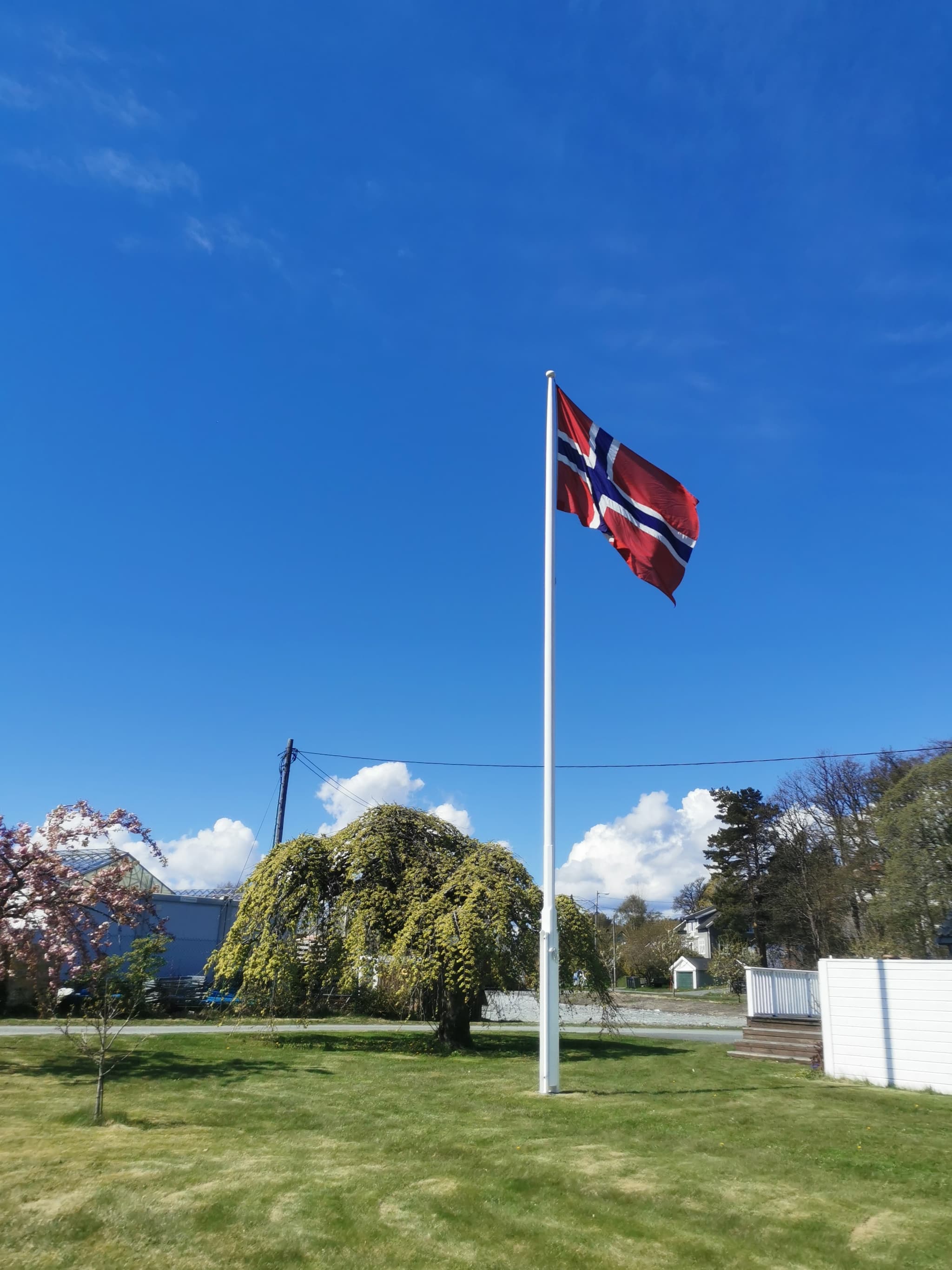 Flaggstang i trykkimpregnert limtre